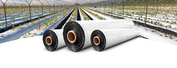 PLASTICO MULCH B/L 1.35MM X 1025M 38 MICRAS