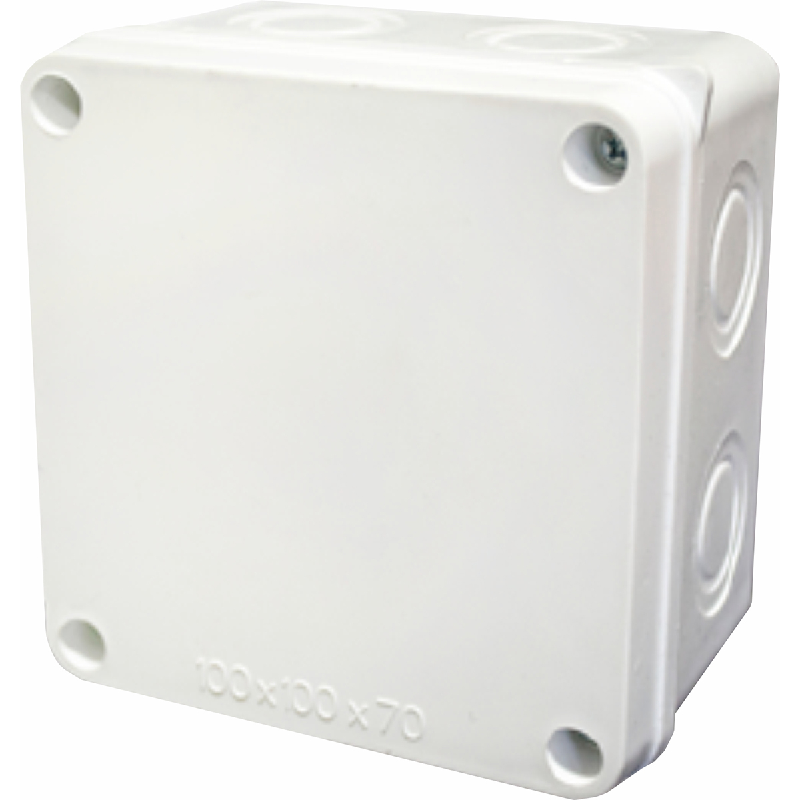 CAJA PASE 10X10 C1010
