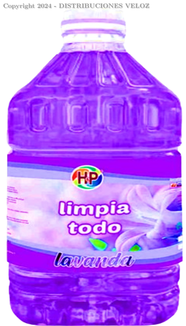 LIMPIA TODO LAVANDA GALON H&P LT181
