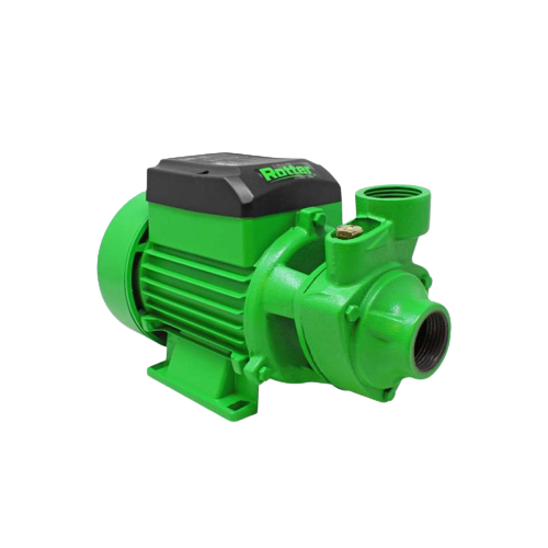 ELECTROBOMBA 0.5HP ROTTER