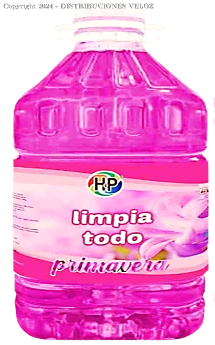 LIMPIA TODO PRIMAVERA GALON H&P